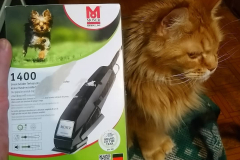 101049162_2614107285468745_8215430881491743697_n_17858283928970614