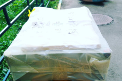 106582963_325755715121500_5442056457000917865_n_17872658548813266