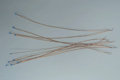 109026950_2632442493637117_6946864279022543141_n_17854174928096044