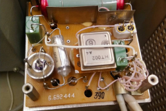 125202478_127124965585365_8168029605442001159_n_17882747017869923