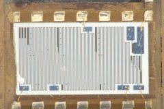 155587825_334832747951608_8927737039829250537_n_17862306272375622