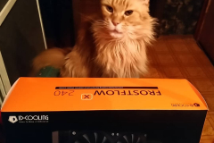 161447299_272767574467377_301007393268303309_n_17887296005072545