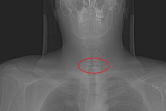 162126344_509551017089477_3138573768981352313_n_17881296881173016