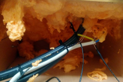 166753066_466226857761765_1857813636999709141_n_17865758483445532