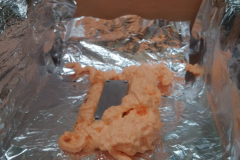 167000296_261696792275911_3437933220506734888_n_18117203164207647