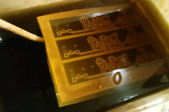 185845069_3008743316071480_3629088221289540414_n_17896406423055929