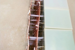 202257140_494883558430585_3555043167253766862_n_18157907110086219