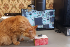 37584820_2141472142788042_1525738177866760192_n_17902321585219333