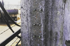 56344600_539038766620590_2757741861062038520_n_18053699062014720