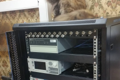 68766765_223337005310818_4168405856090803877_n_18056882077158566